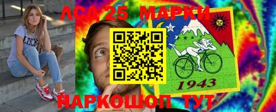амфетамин Гатчина